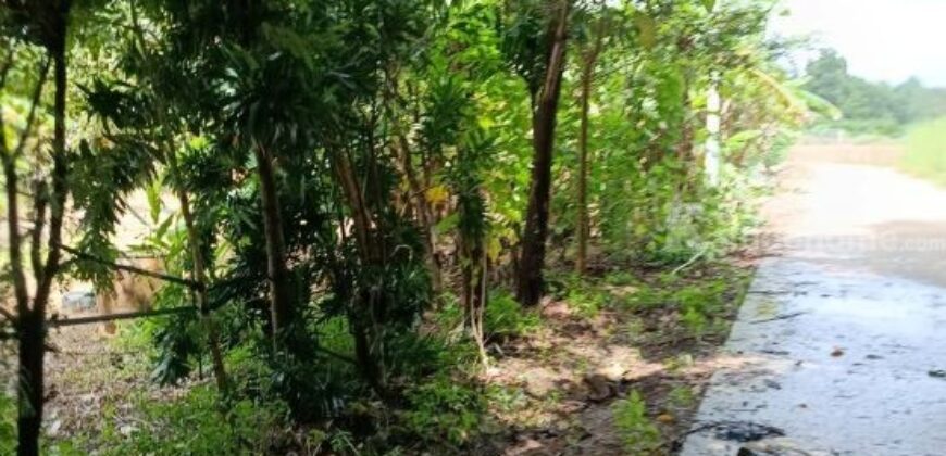 ที่ดินบรรยากาศดี ทำเลทอง วังปลา ต.แกลง จ.ระยอง