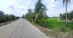ขายที่ดินทำเลศักยภาพ พุทธมณฑลสาย 5 สามพราน นครปฐม 1-0-47 ไร่ ขายที่ดินทำเลศักยภาพ พุทธมณฑลสาย 5 สามพราน นครปฐม 1-0-47 ไร่