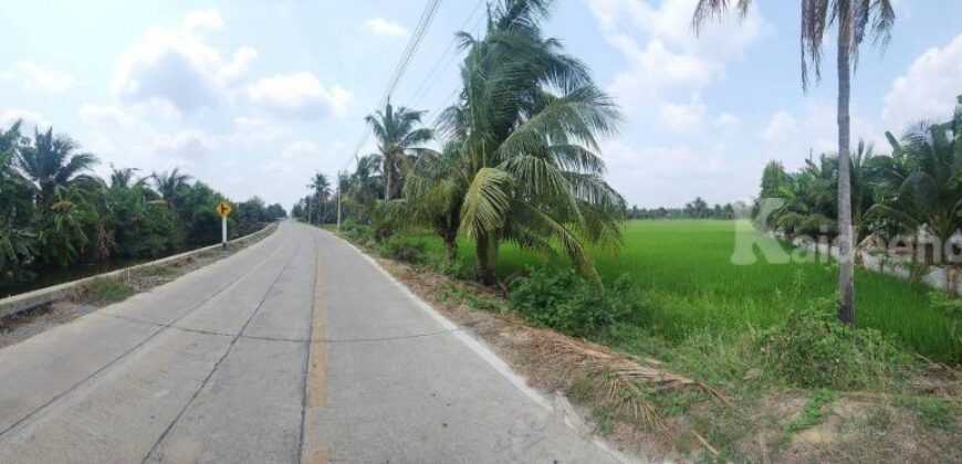 ขายที่ดินทำเลศักยภาพ พุทธมณฑลสาย 5 สามพราน นครปฐม 1-0-47 ไร่ ขายที่ดินทำเลศักยภาพ พุทธมณฑลสาย 5 สามพราน นครปฐม 1-0-47 ไร่