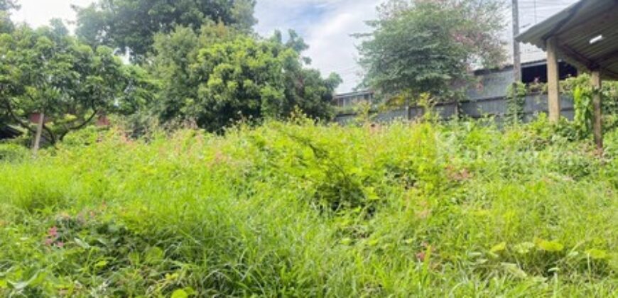 ขายที่ดิน ใกล้โรงเรียนปรินส์ฯ ต.ฟ้าฮ่าม จ.เชียงใหม่