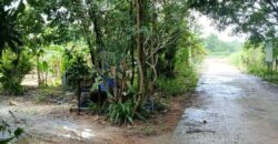 ที่ดินบรรยากาศดี ทำเลทอง วังปลา ต.แกลง จ.ระยอง