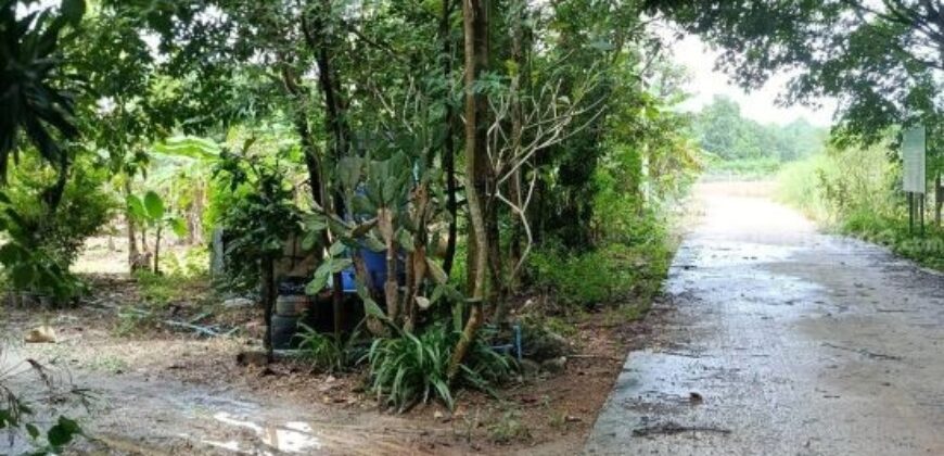 ที่ดินบรรยากาศดี ทำเลทอง วังปลา ต.แกลง จ.ระยอง