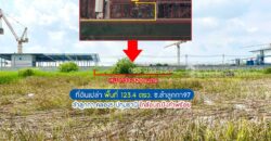 ขายที่ดิน ซอยลำลูกกา97 ลำลูกกา คลอง5 ปทุมธานี พื้นที่ 123.4 ตรว. ใกล้อบต.บึงคำพร้อย