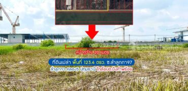 ขายที่ดิน ซอยลำลูกกา97 ลำลูกกา คลอง5 ปทุมธานี พื้นที่ 123.4 ตรว. ใกล้อบต.บึงคำพร้อย