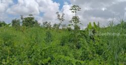 ที่ดินบรรยากาศดี ทำเลทอง วังปลา ต.แกลง จ.ระยอง