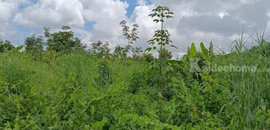 ที่ดินบรรยากาศดี ทำเลทอง วังปลา ต.แกลง จ.ระยอง