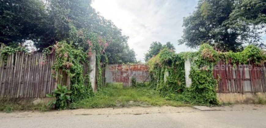 ขายที่ดิน ใกล้โรงเรียนปรินส์ฯ ต.ฟ้าฮ่าม จ.เชียงใหม่