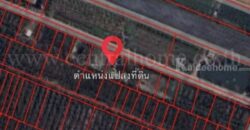 ที่ดินเปล่า 156.7 ตร.วา ถมแล้ว บัวปากท่า บางเลน – นครปฐม