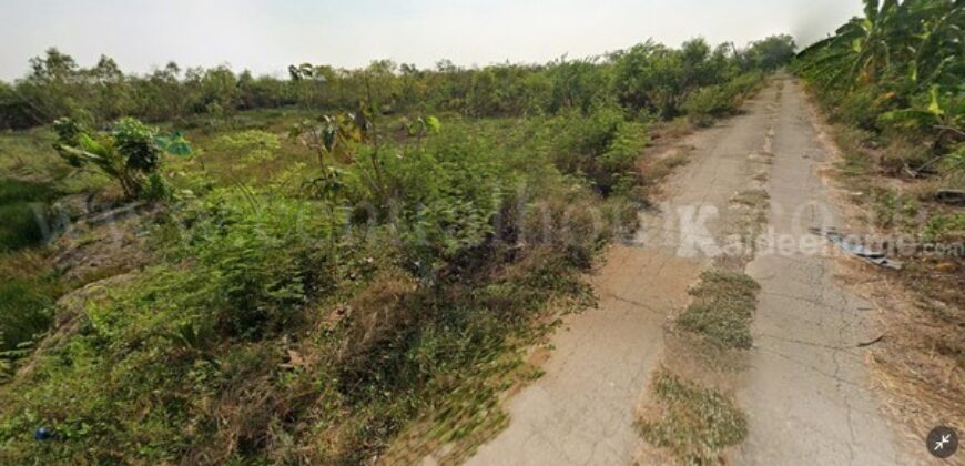 ที่ดินเปล่า 156.7 ตร.วา ถมแล้ว บัวปากท่า บางเลน – นครปฐม