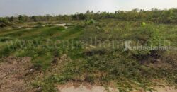 ที่ดินเปล่า 156.7 ตร.วา ถมแล้ว บัวปากท่า บางเลน – นครปฐม