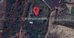 ที่ดินถมแล้ว 9 ไร่ 62 ตร.วา พร้อมโรงเรือน แก่งกระจาน เพชรบุรี