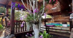 บ้านพร้อมที่ดิน ท่าใหม่ จันทบุรี บรรยากาศบ้านสวนธรรมชาติ