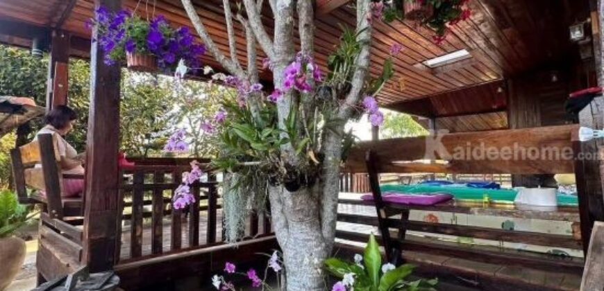 บ้านพร้อมที่ดิน ท่าใหม่ จันทบุรี บรรยากาศบ้านสวนธรรมชาติ