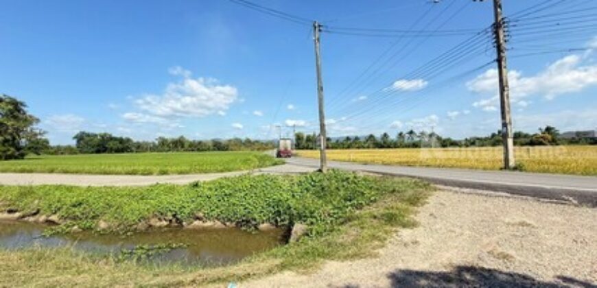 ขายที่ดินเปล่า วิวทุ่งนา ต.ขี้เหล็ก อ.แม่ริม เชียงใหม่