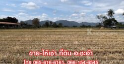 ขายที่ดินเปล่า 3 ไร่ ชะอำ เพชรบุรี ที่สวย ใกล้หัวหิน