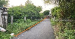 ขายที่ดินรามอินทรา 19 แยก 5 เพียง 500 ม. จากถนนใหญ่ และ 700 ม. จากรถไฟฟ้าลาดปลาเค้า 273 ตร.วา