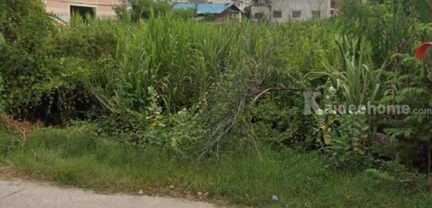 ขายที่ดินสวย พร้อมโอน เมืองสมุทรสาคร เนื้อที่ 173 ตรว. น้ำไฟผ่าน ถนนคอนกรีต โทร 0807856572