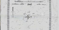 ขายที่ดินสวย พร้อมโอน เมืองสมุทรสาคร เนื้อที่ 173 ตรว. น้ำไฟผ่าน ถนนคอนกรีต โทร 0807856572