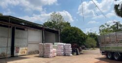 ขายที่ดินใจกลางเมืองหนองคาย ต.โพธิ์ชัย อ.เมือง จ.หนองคาย โกดังขนาดใหญ่ โทร 0996241535