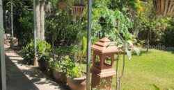 ขายที่ดิน 108 ตรว. พร้อมกิจการเกสต์เฮ้าส์ ใกล้สถานีขนส่งจังหวัดเชียงใหม่