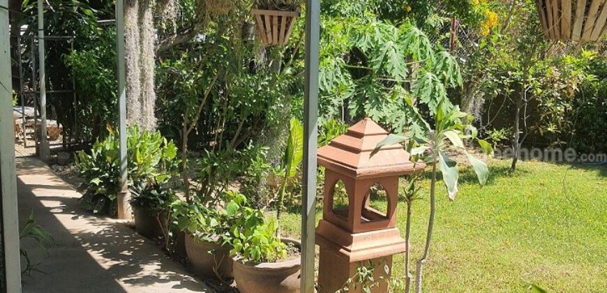 ขายที่ดิน 108 ตรว. พร้อมกิจการเกสต์เฮ้าส์ ใกล้สถานีขนส่งจังหวัดเชียงใหม่