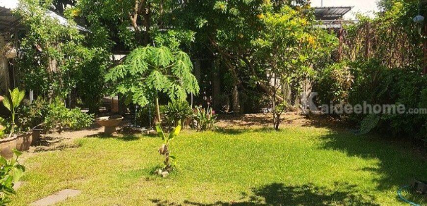 ขายที่ดิน 108 ตรว. พร้อมกิจการเกสต์เฮ้าส์ ใกล้สถานีขนส่งจังหวัดเชียงใหม่