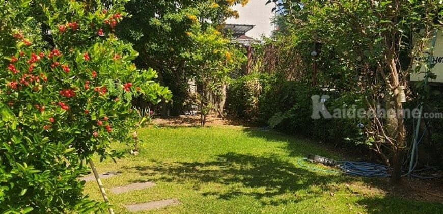 ขายที่ดิน 108 ตรว. พร้อมกิจการเกสต์เฮ้าส์ ใกล้สถานีขนส่งจังหวัดเชียงใหม่