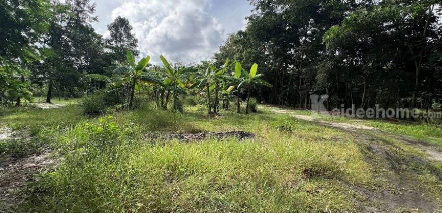 ขายที่ดิน ทับมา ระยอง แปลงสวย วิวธรรมชาติ ติดคลอง 8-2-93 ไร่