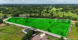 ขายด่วนที่นาแปลงสวย ทำเลดี เมืองพล ขอนแก่น พื้นที่ 10 ไร่