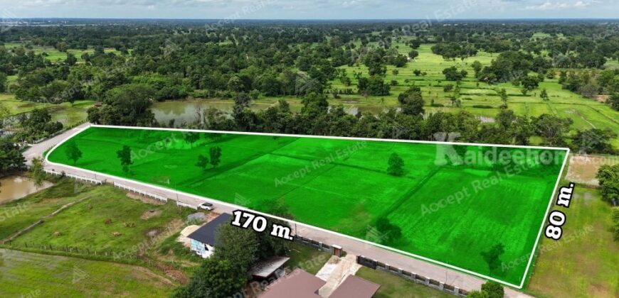 ขายด่วนที่นาแปลงสวย ทำเลดี เมืองพล ขอนแก่น พื้นที่ 10 ไร่