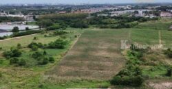 ขายที่ดินเปล่า บ้านฉาง ระยอง ทำเลเติบโตต่อเนื่อง 19-1-69.4 ไร่