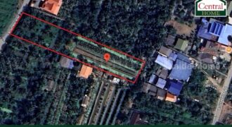 ที่ดินเปล่า 2 – 1 – 61 ไร่ ซอยบางรักใหญ่ 1 นนทบุรี ทำเลดี