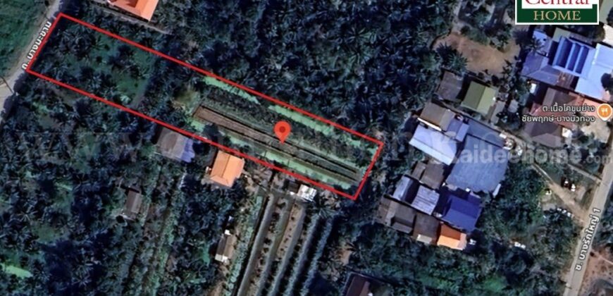 ที่ดินเปล่า 2 – 1 – 61 ไร่ ซอยบางรักใหญ่ 1 นนทบุรี ทำเลดี