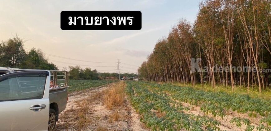 ที่ดินศักยภาพสูง มาบยางพร ระยอง พื้นที่สีม่วงใจกลางแหล่งอุตสาหกรรม