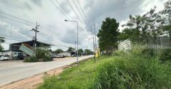 ที่ดินศักยภาพสูง(ติดถนน) นิคมอมตะ ระยอง ทำเลทอง 12-1-35 ไร่