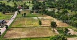 ขายด่วนที่นาแปลงสวย ทำเลดี เมืองพล ขอนแก่น พื้นที่ 10 ไร่