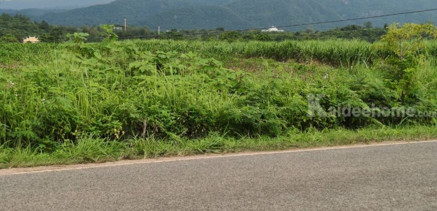 ขายที่ดินโป่งตาลอง เขาใหญ่ ติดถนนใหญ่เส้นทองอุไร 2213 หนองขี้ตุ่น ที่ดิน 18.5-39 ไร่ วิวเขาใหญ่สวยชัดมาก ใกล้ทอสคาน่า Toscana เส้น 3052 แปลงนี้สวยมาก ที่สูงอากาศดี ทางไปโซนพระตำหนัก ซื้อเก็บลงทุนพัฒนาได้เลย 087-9074045