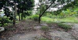 ขายที่ดิน ทับมา ระยอง แปลงสวย วิวธรรมชาติ ติดคลอง 8-2-93 ไร่