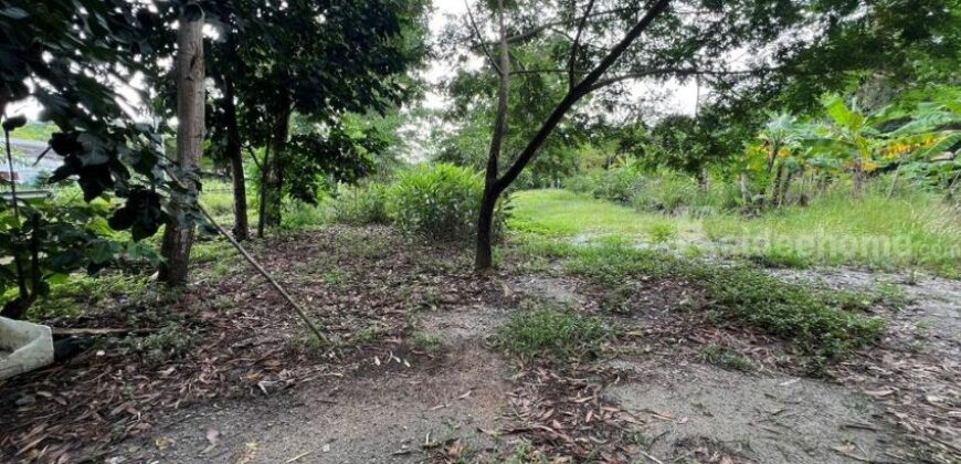 ขายที่ดิน ทับมา ระยอง แปลงสวย วิวธรรมชาติ ติดคลอง 8-2-93 ไร่