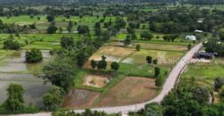 ขายด่วนที่นาแปลงสวย ทำเลดี เมืองพล ขอนแก่น พื้นที่ 10 ไร่