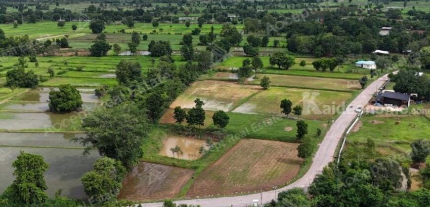 ขายด่วนที่นาแปลงสวย ทำเลดี เมืองพล ขอนแก่น พื้นที่ 10 ไร่