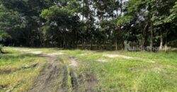 ขายที่ดิน ทับมา ระยอง แปลงสวย วิวธรรมชาติ ติดคลอง 8-2-93 ไร่