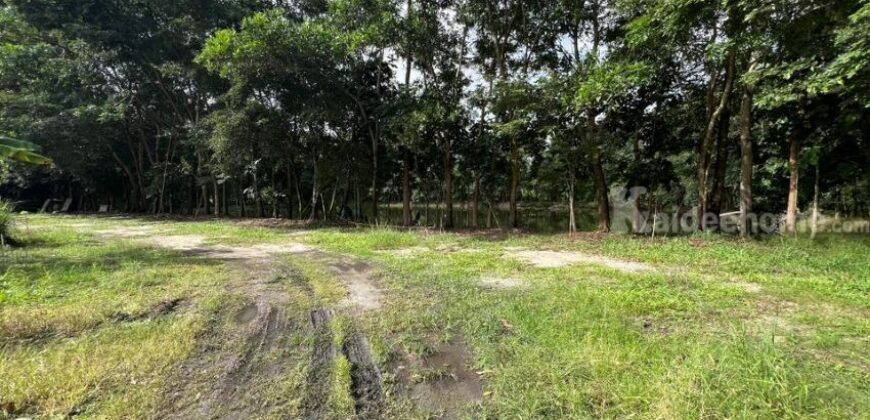 ขายที่ดิน ทับมา ระยอง แปลงสวย วิวธรรมชาติ ติดคลอง 8-2-93 ไร่