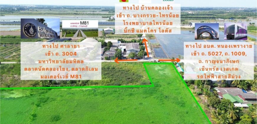 ขายที่ดิน อ.ไทรน้อย จ. นนทบุรี ราคา 8,325 บาทต่อตรว. ใกล้ อบต. หนองเพรางาย