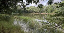 ขายที่ดิน ทับมา ระยอง แปลงสวย วิวธรรมชาติ ติดคลอง 8-2-93 ไร่