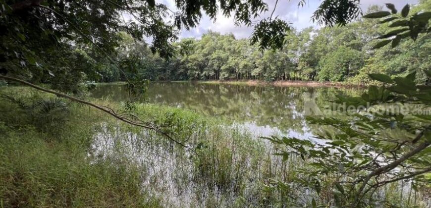 ขายที่ดิน ทับมา ระยอง แปลงสวย วิวธรรมชาติ ติดคลอง 8-2-93 ไร่