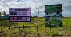 ขายที่ดิน อ.ไทรน้อย จ. นนทบุรี ราคา 8,325 บาทต่อตรว. ใกล้ อบต. หนองเพรางาย