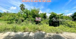 ขายถูกที่ดิน ลำลูกกา คลอง9 ซอยลำลูกกา181 (ซอยร่วมใจ1) พื้นที่ 56 ตารางวา แปลงสี่เหลี่ยมผืนผ้าสวย เหมาะสร้างบ้าน