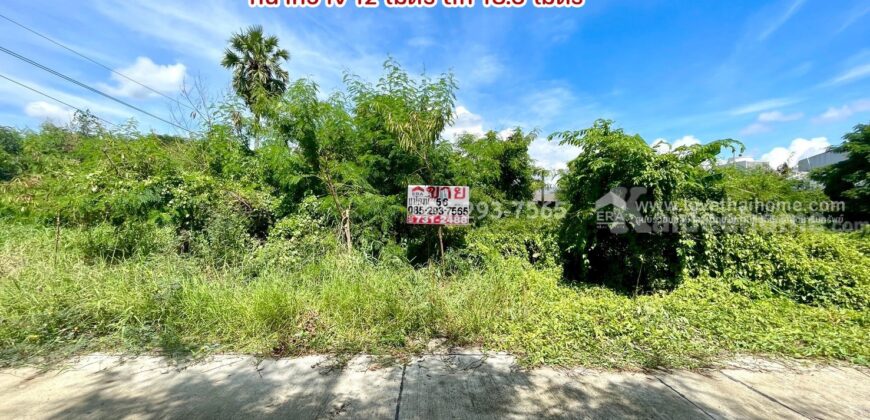 ขายถูกที่ดิน ลำลูกกา คลอง9 ซอยลำลูกกา181 (ซอยร่วมใจ1) พื้นที่ 56 ตารางวา แปลงสี่เหลี่ยมผืนผ้าสวย เหมาะสร้างบ้าน