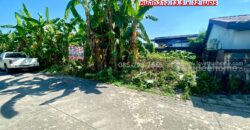 ขายที่ดิน ถนนสุขาภิบาล5 ซอย34 สายไหม แปลงสวย พื้นที่ 40.6 ตารางวา เข้าซอยเพียง 300 เมตร ใกล้จุดขึ้น-ลงทางด่วนสุขาภิบาล5